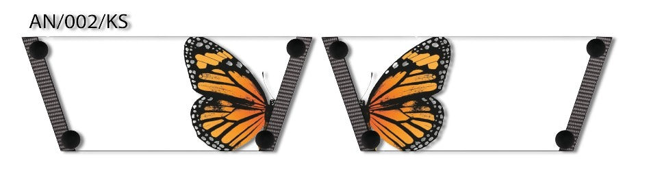 Butterfly Bliss Women Shoe Strap