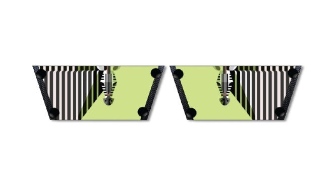 Zebra Women Shoes Strap