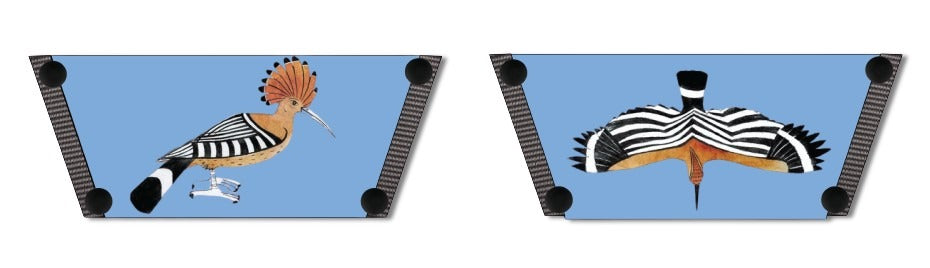 Woodpecker Women Shoes Strap