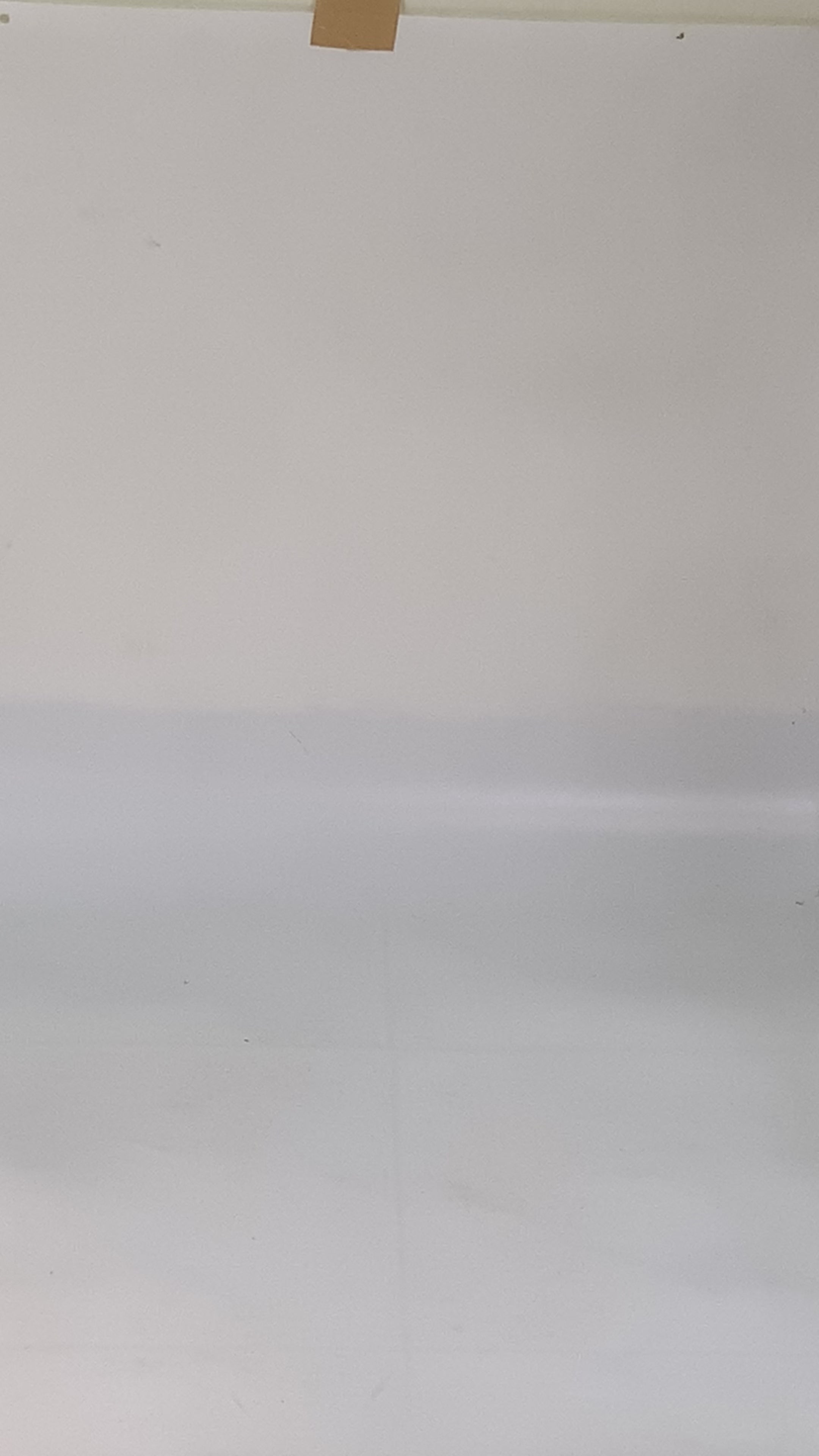 Cute Baby Elephant Women Shoes Strap