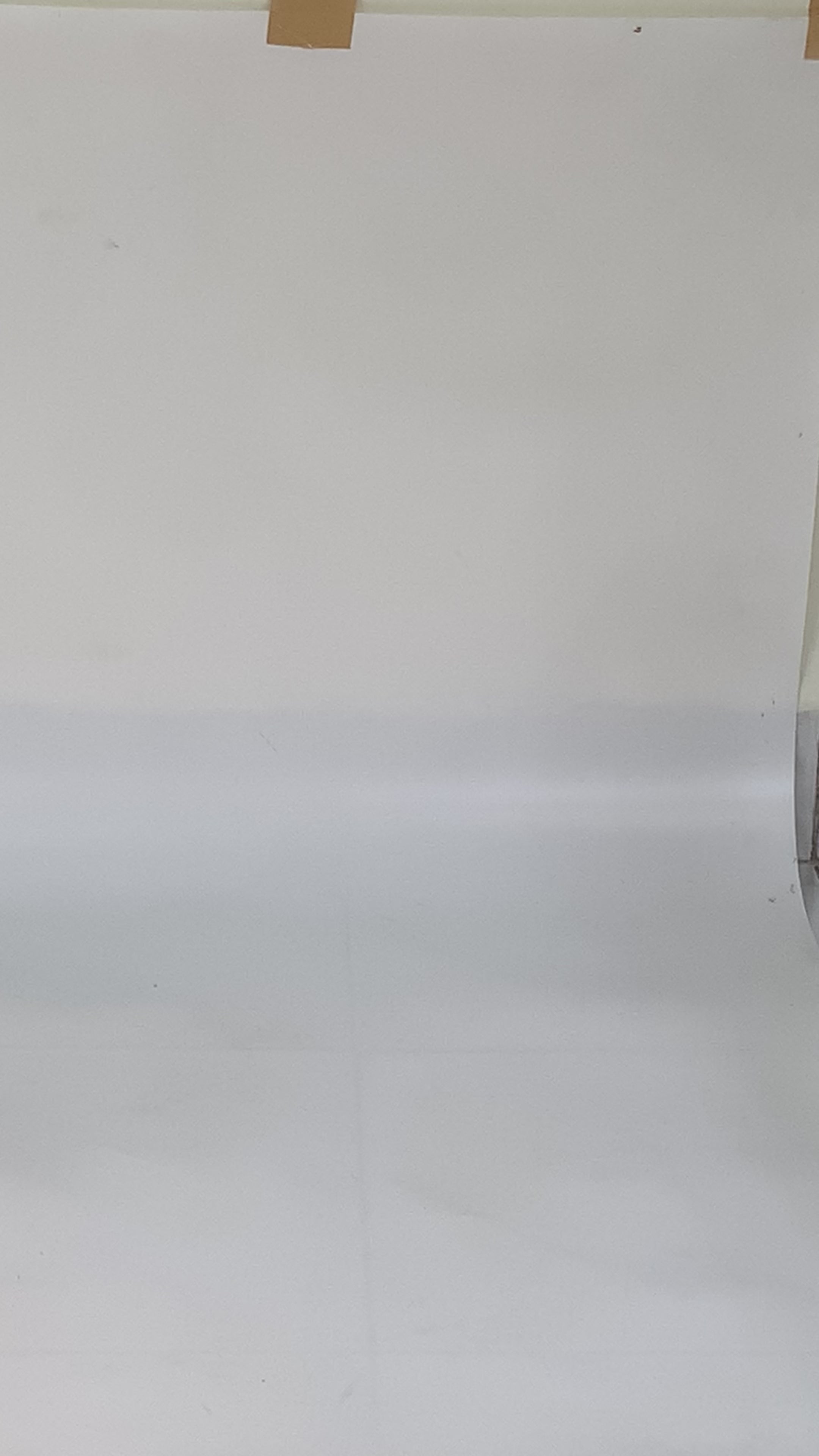 Tropical Whimsy Women Shoes Strap