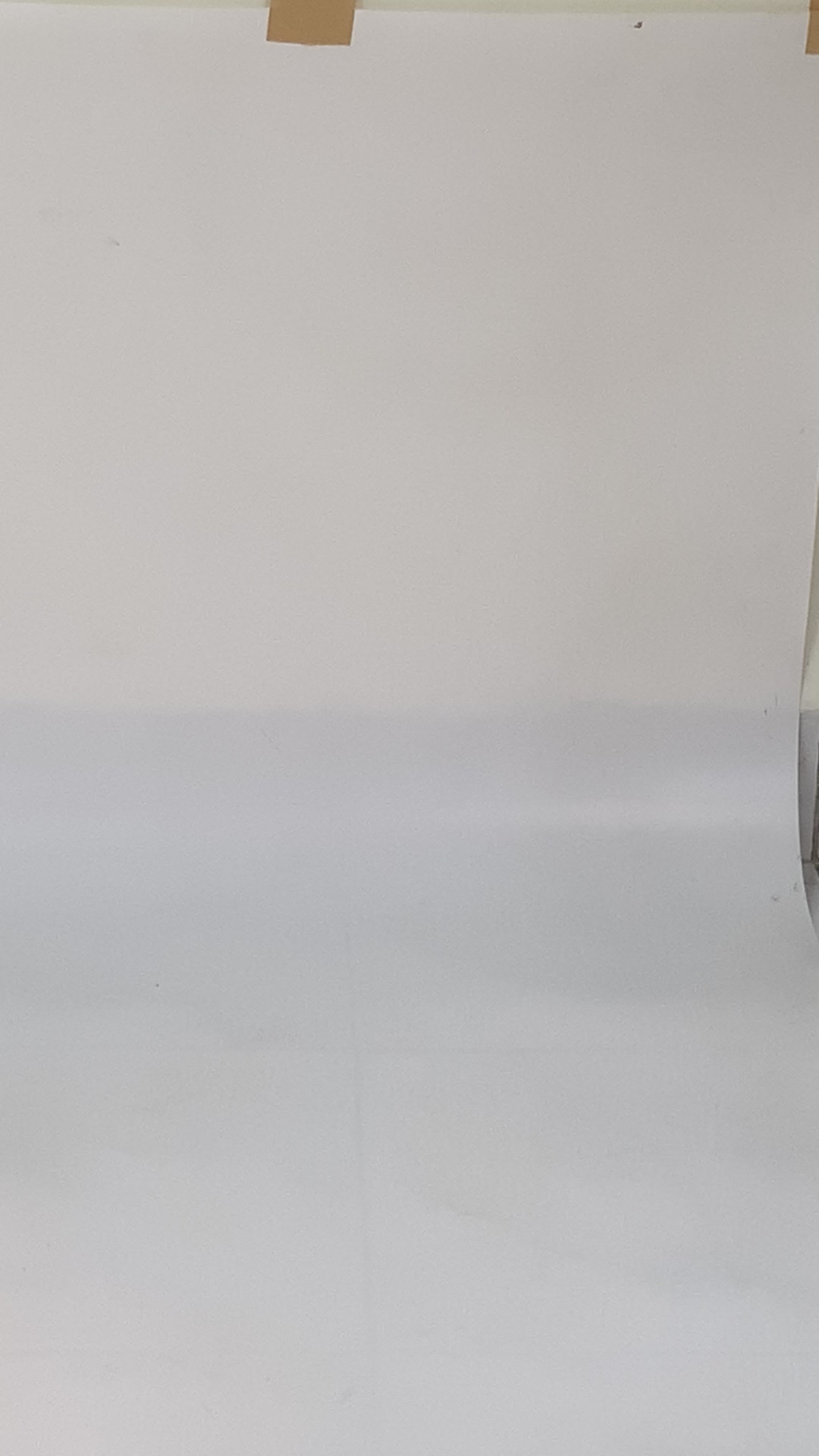 Earthy Birds Women Shoes Strap