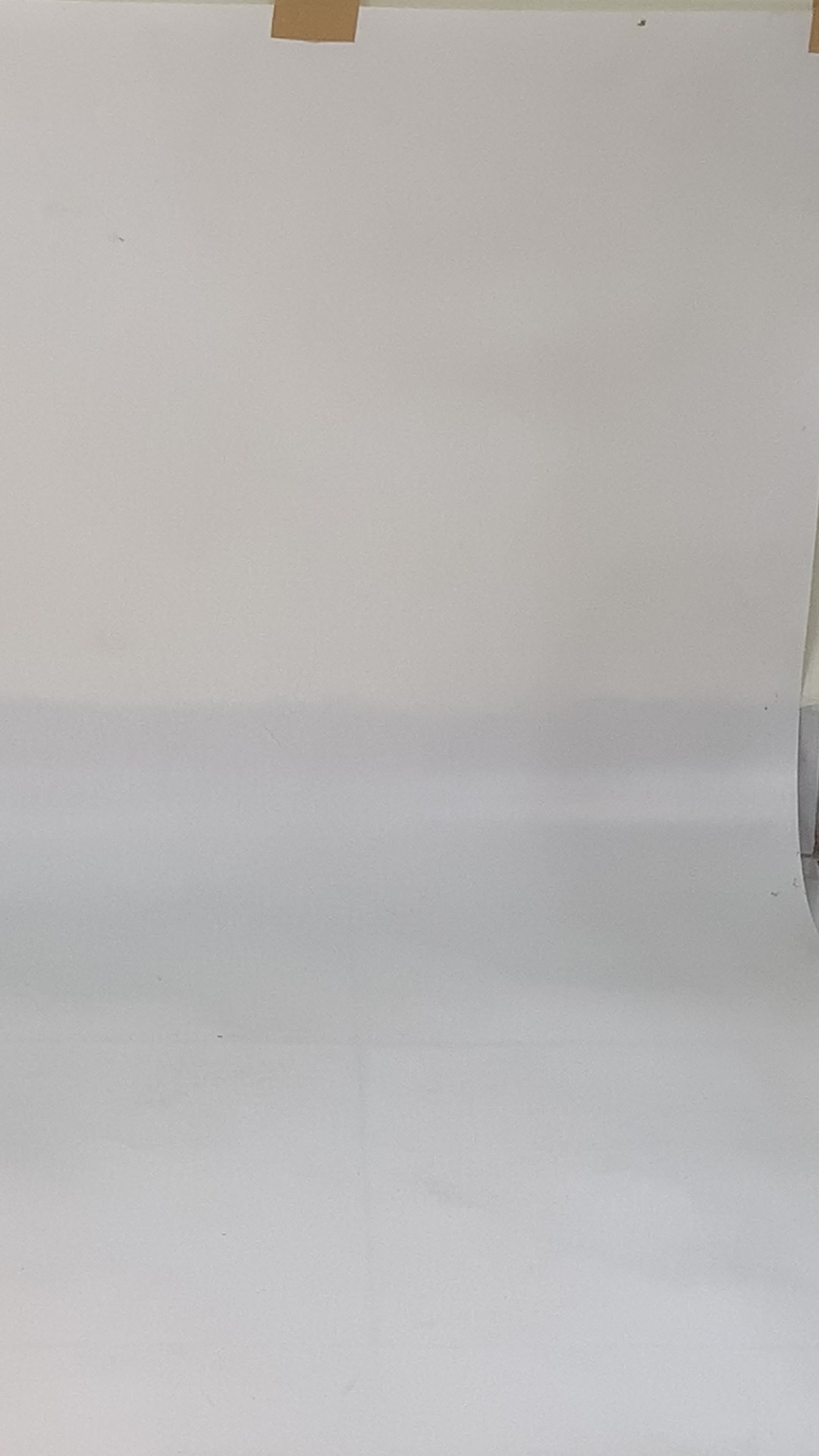 Wild Cat Women Shoes Strap