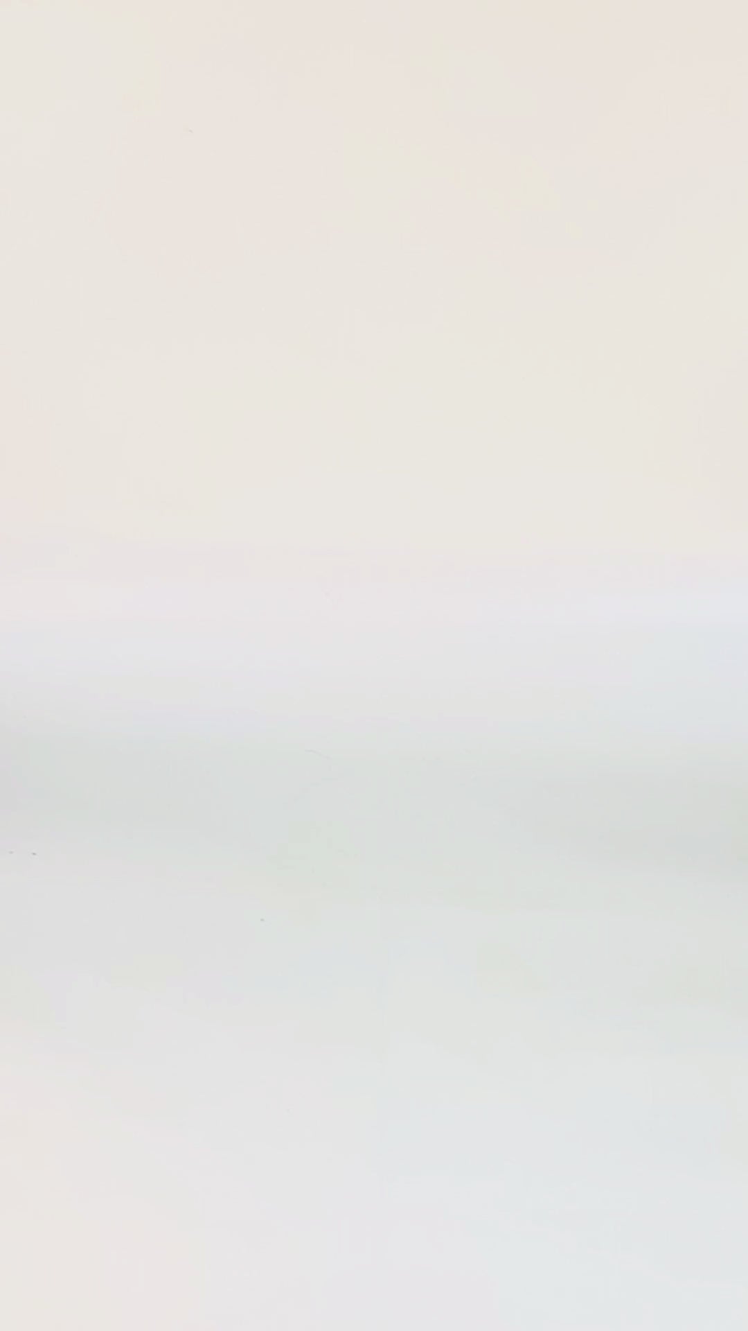 Zebra Elegance Women Shoes Strap