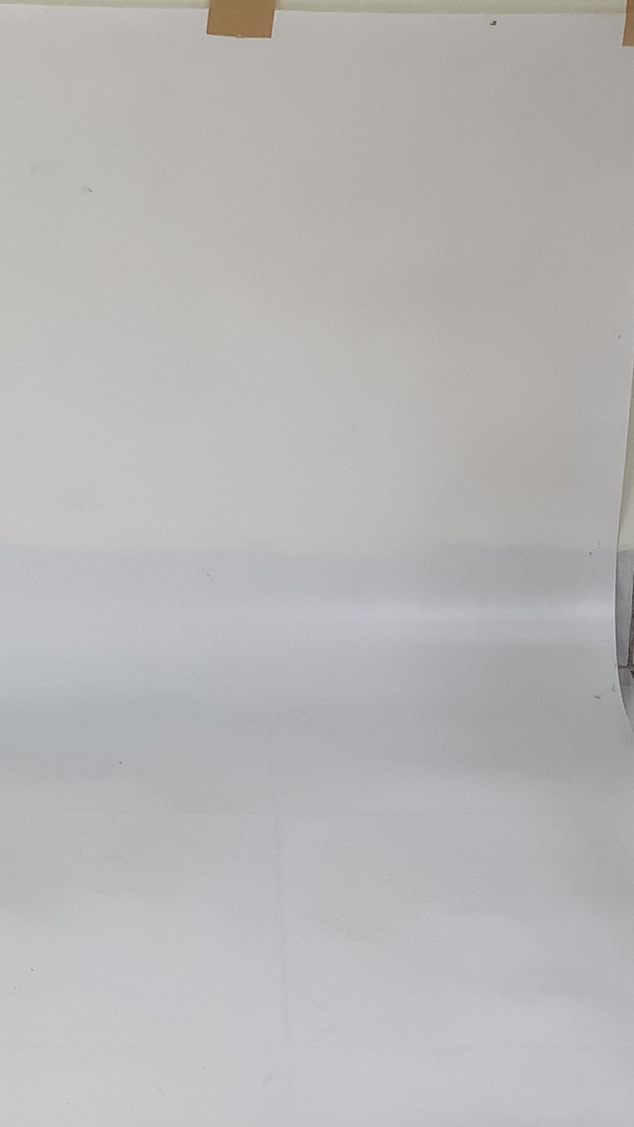 Whimsical Butterfly Women Shoes Strap