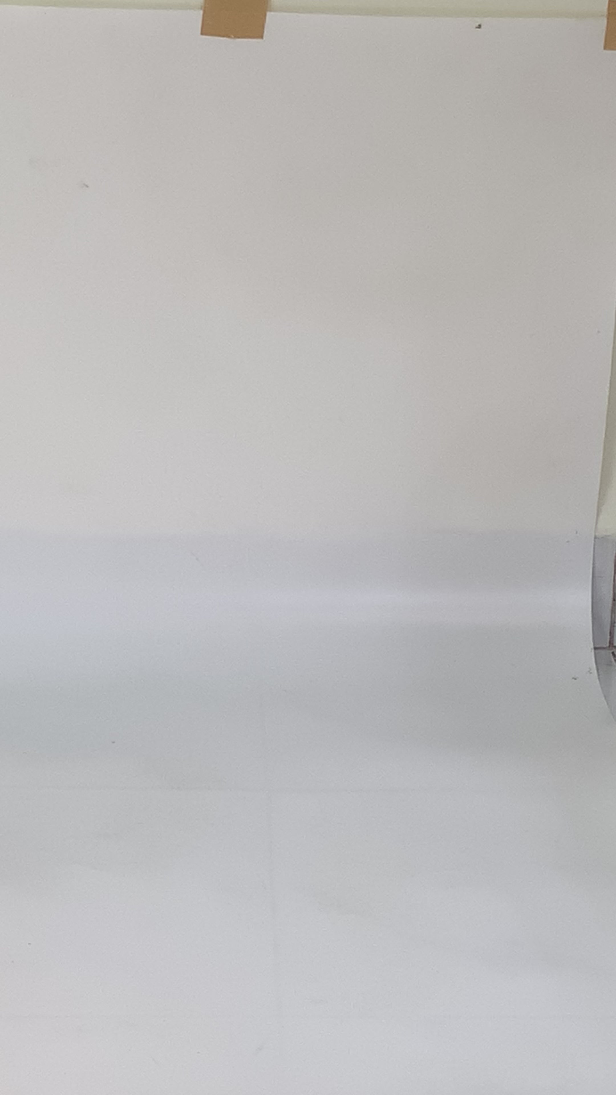 Wild Cat Women Shoes Strap