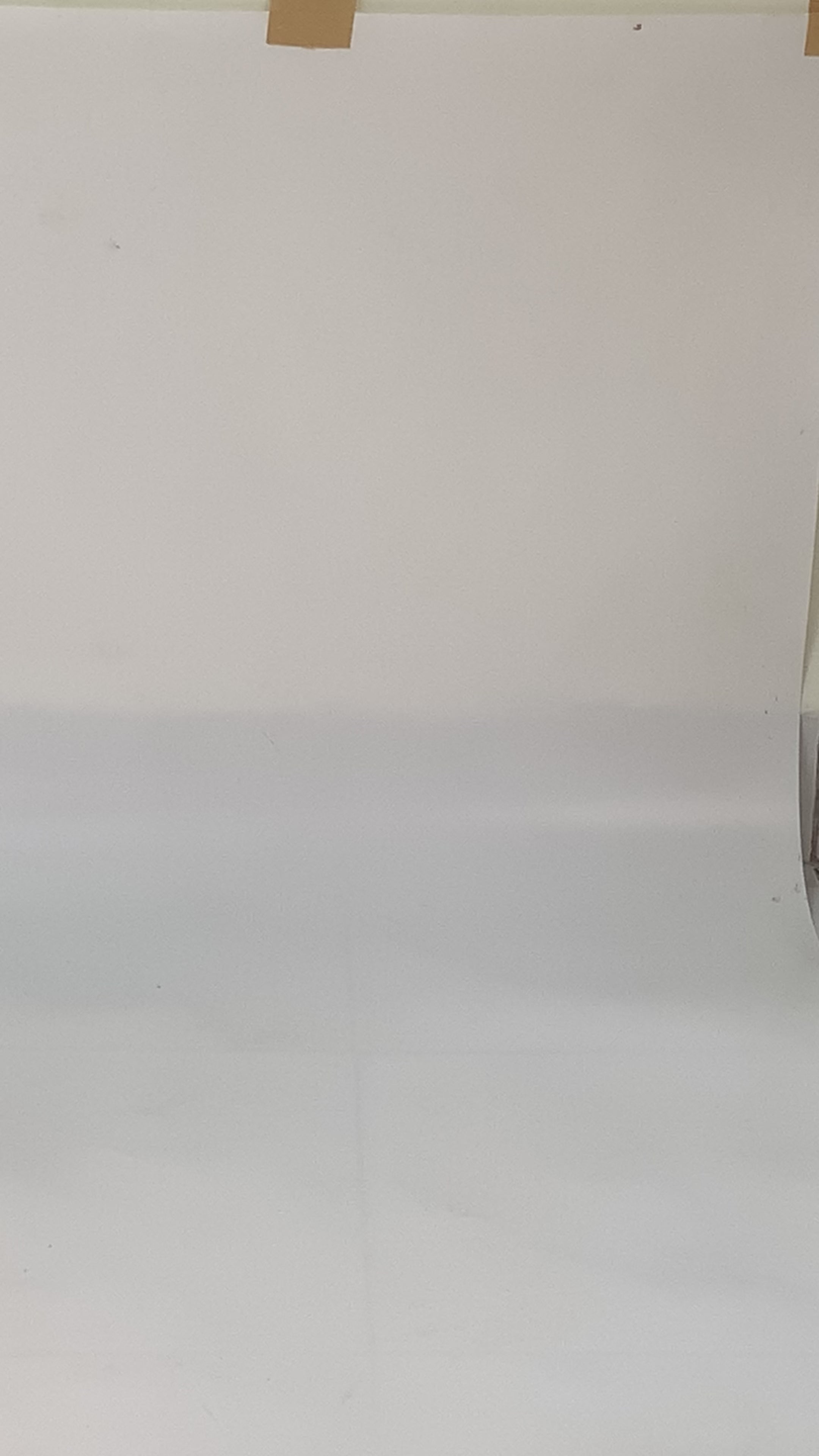 Black Zebra Women Shoes Strap